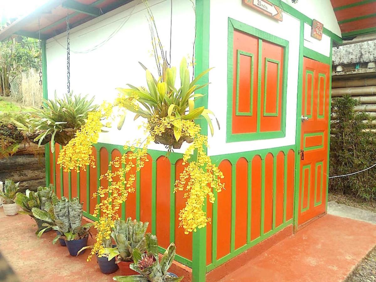 Hostal Estrella De Agua Salento Ngoại thất bức ảnh