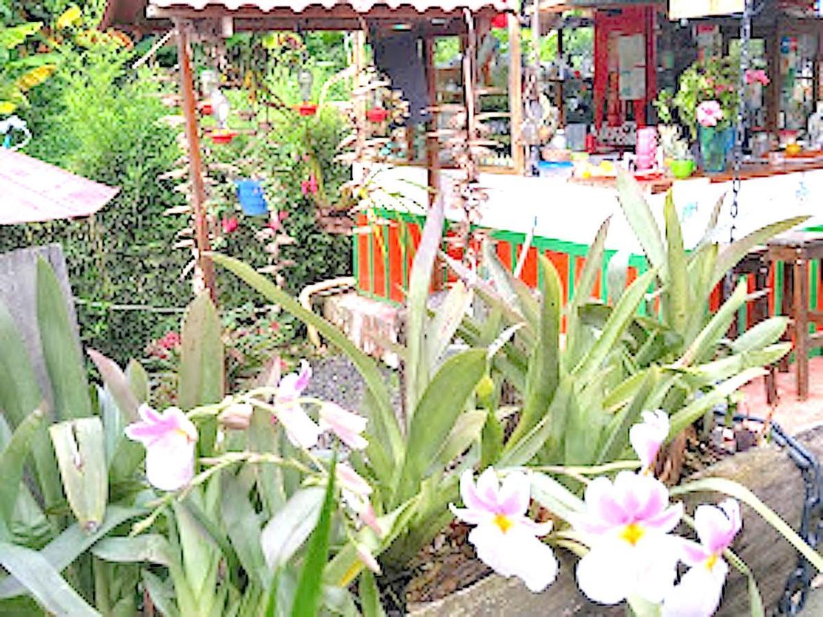 Hostal Estrella De Agua Salento Ngoại thất bức ảnh