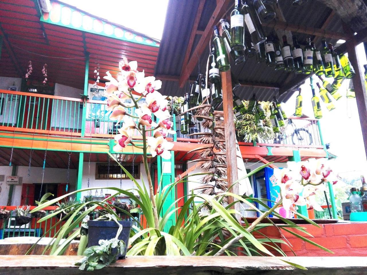 Hostal Estrella De Agua Salento Ngoại thất bức ảnh