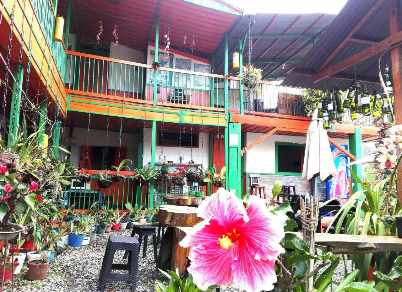 Hostal Estrella De Agua Salento Ngoại thất bức ảnh